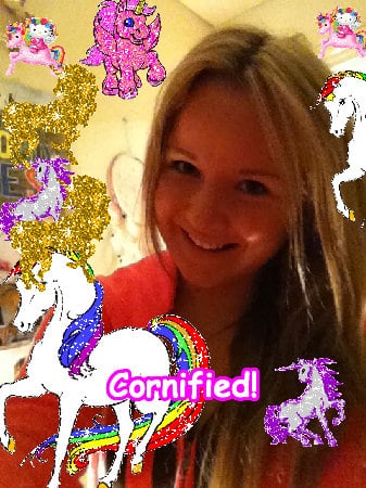 The lovely sunny cool happy fun