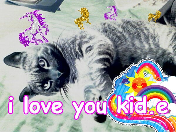 Crazy cute glad sunny best photo