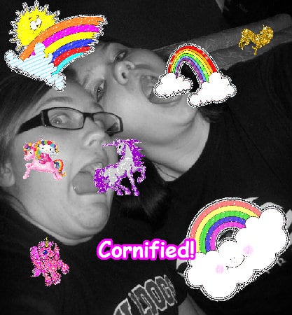 A best sunny joyful cool composition