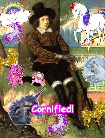 The best jolly fun sunny great picture