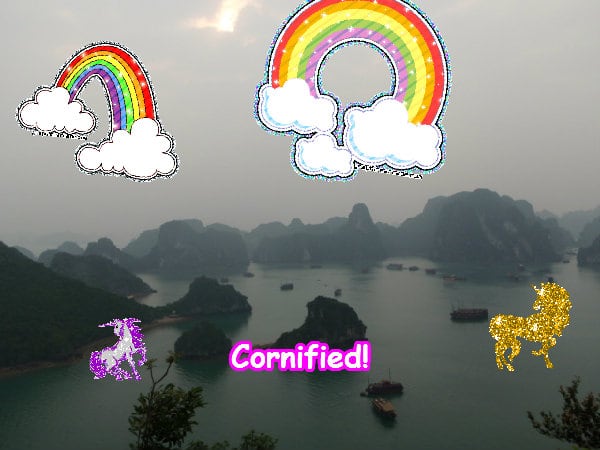 Crazy cute sunny jolly pink rainbow