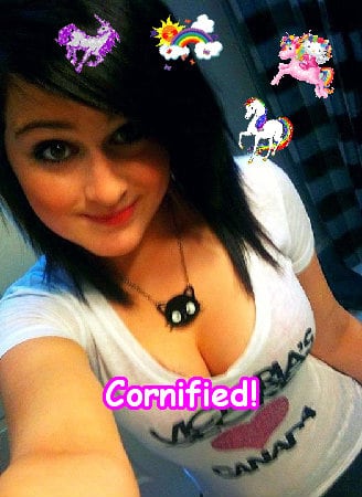 The best great best sunny sunny composition