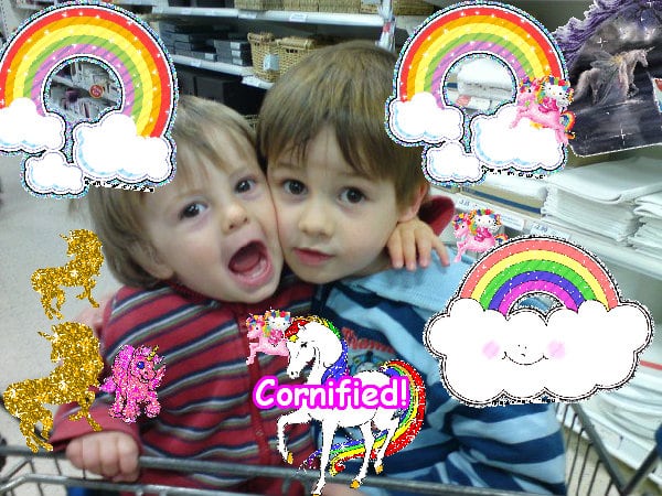 Crazy joyful best best lovely unicorn