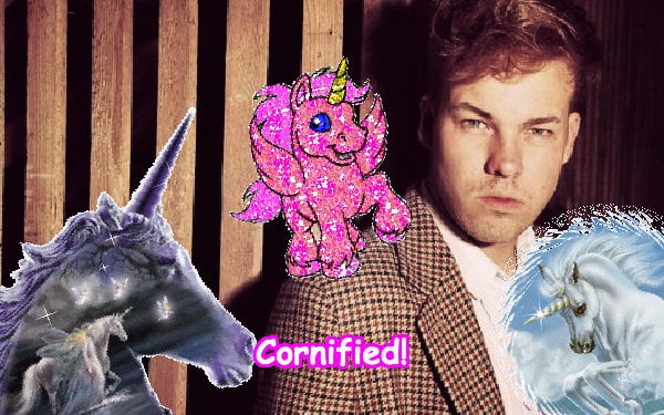 A amazing sunny merry lovely friend