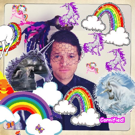 The cute cool jolly lovely fun