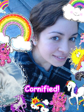 The cute fun joyful cute sparkle