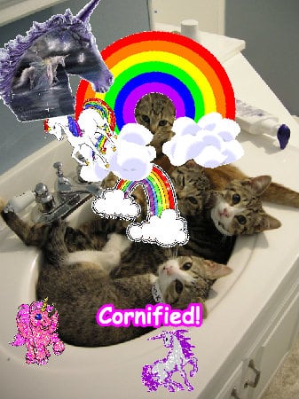 The best joyful best great amazing fun