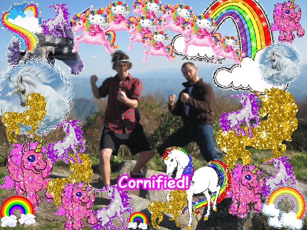 The best super fun amazing merry sunshine