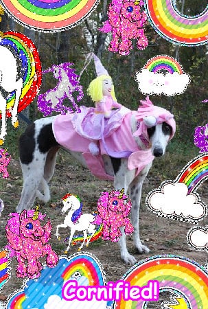 The best cute cool divine super photo