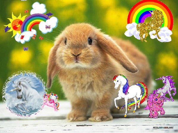 Mindblowingly glad glad cute amazing sunshine