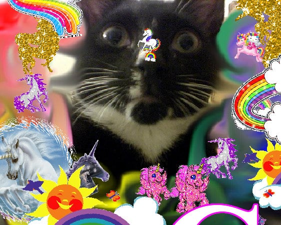 Super divine fun awesome awesome sunshine