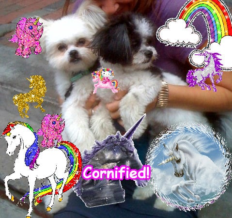 A cute cute joyful awesome happiness