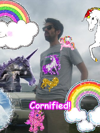 Crazy sunny sunny joyful cute photo