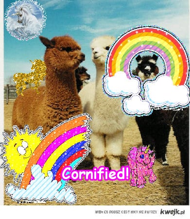 The best amazing merry happy divine family