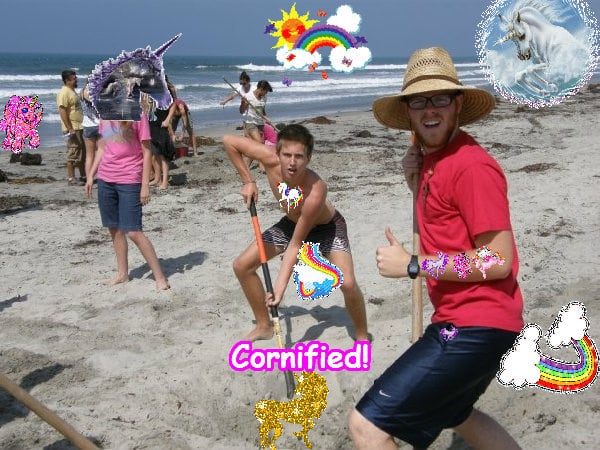 Super sunny awesome jolly cool image