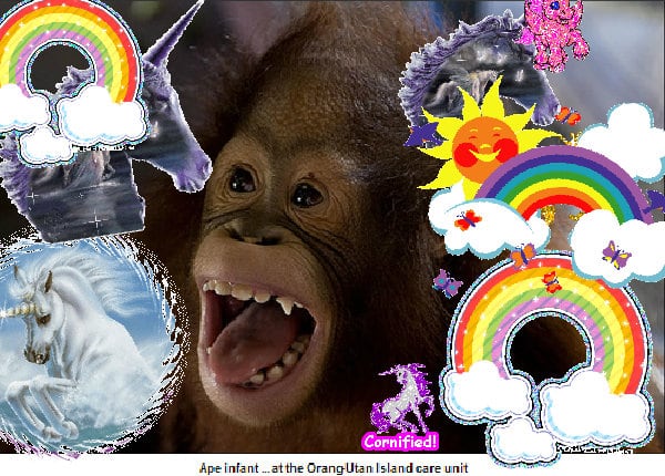 Super divine glad super joyful happiness