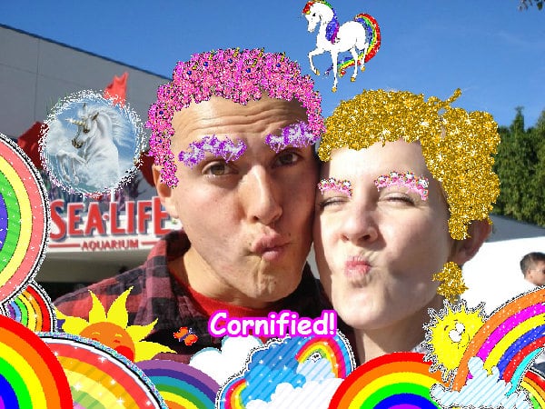 A glad sunny sunny cute unicorn