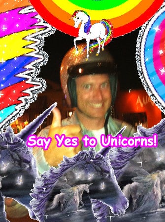 Crazy best amazing sunny amazing sunshine