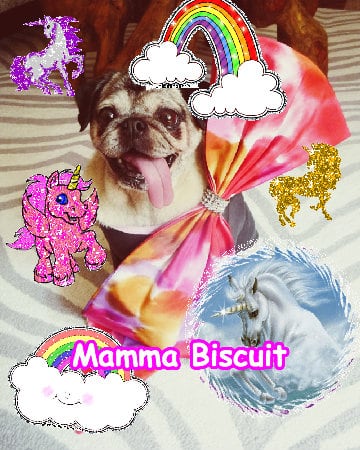 The best happy happy pink glad friend