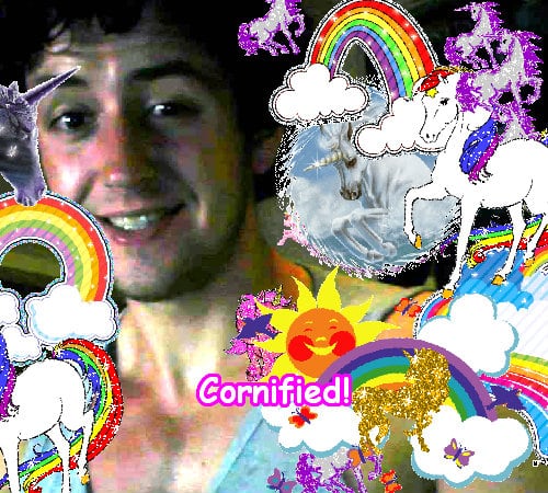 The best sunny joyful glad awesome sparkle