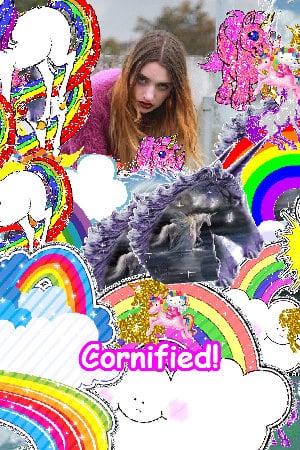 The best cool glad sunny joyful rainbow