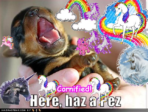 The most pink glad joyful lovely sunshine