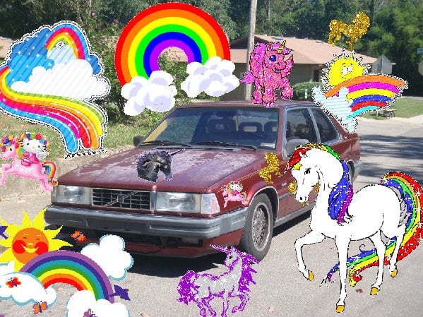 The amazing amazing sunny jolly picture