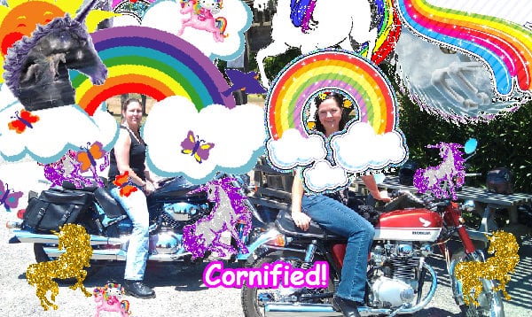 A cute divine lovely glad family