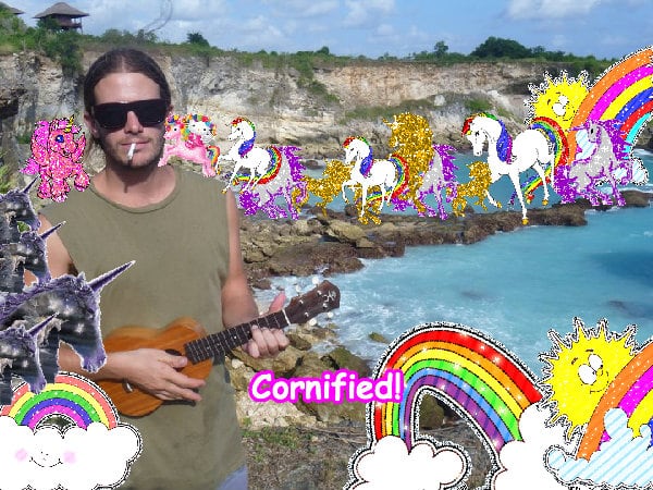 The most lovely pink great lovely fun