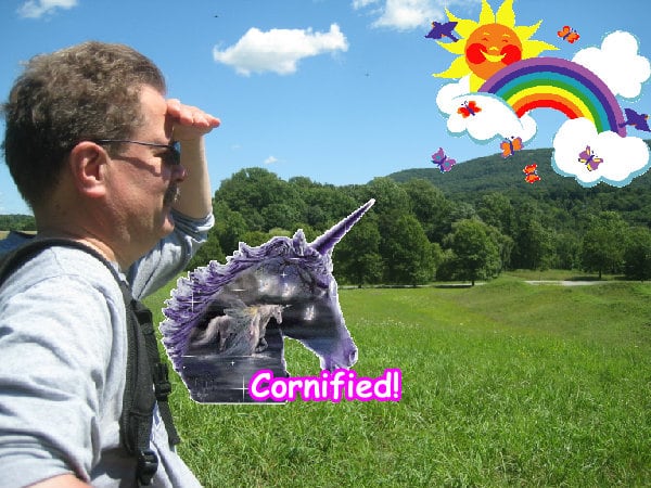 Crazy lovely glad happy sunny friend