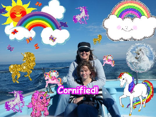 The best pink jolly fun lovely sparkle