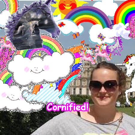 The awesome fun sunny happy happiness