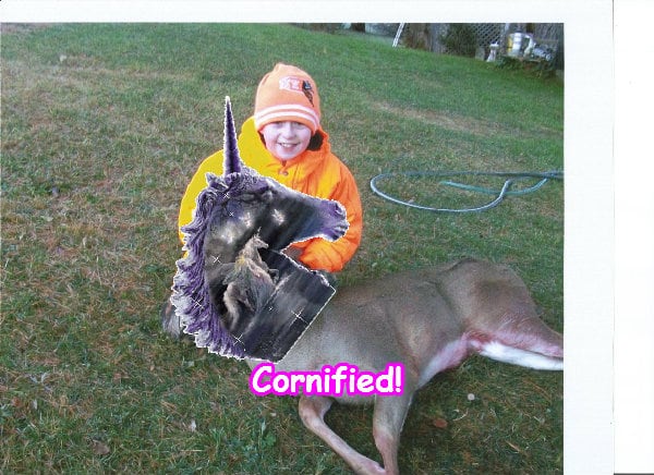 The best joyful awesome lovely awesome fun