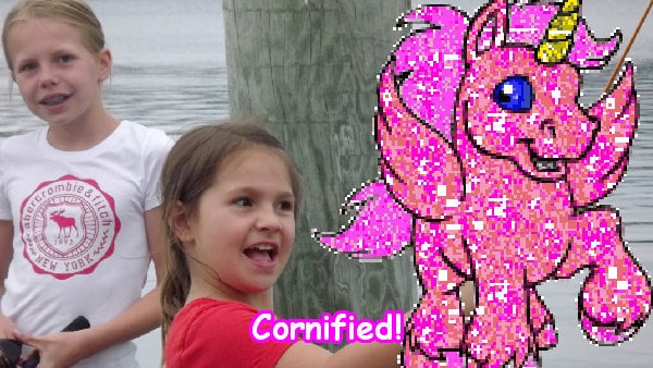 Super best cool merry happy fun