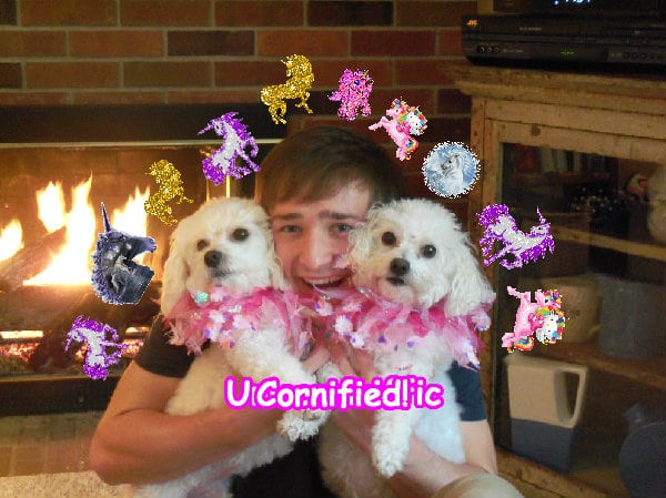 The best sunny best merry jolly friend