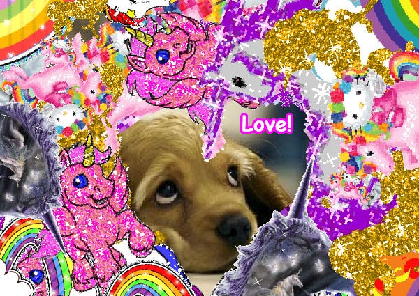 Super sunny joyful lovely awesome picture