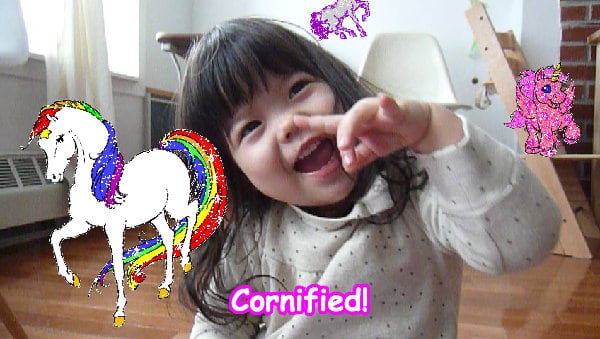 Crazy pink sunny best pink photo