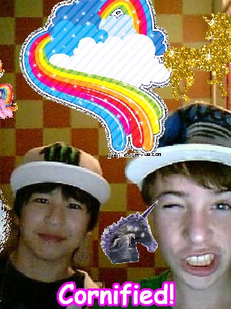 A great cool happy sunny picture