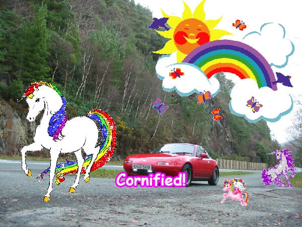 Mindblowingly great fun awesome awesome picture