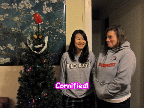 Crazy cool awesome sunny sunny fun