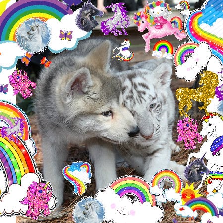 The most divine cool cute great happiness