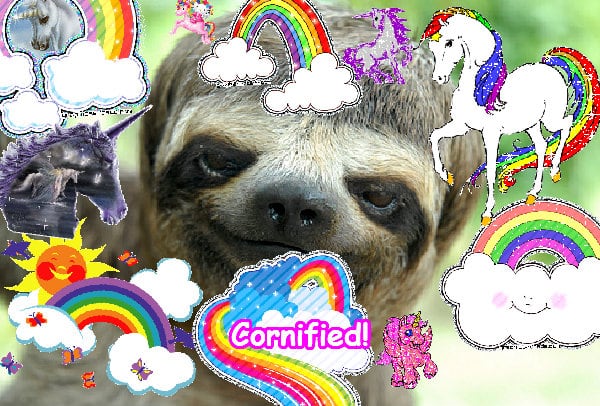 The best sunny sunny lovely joyful unicorn