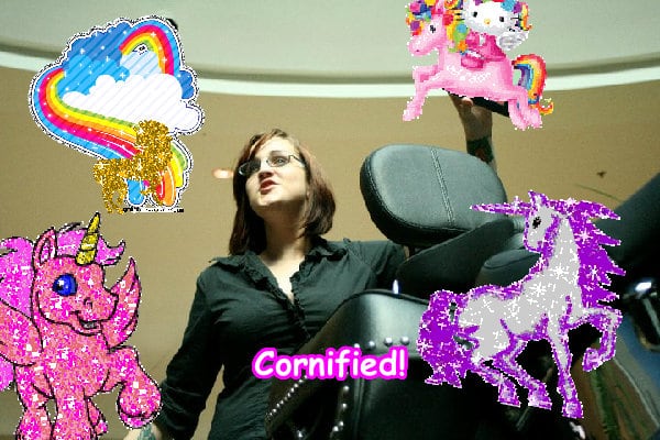 A lovely cute sunny sunny image