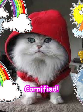 Super fun sunny happy super rainbow