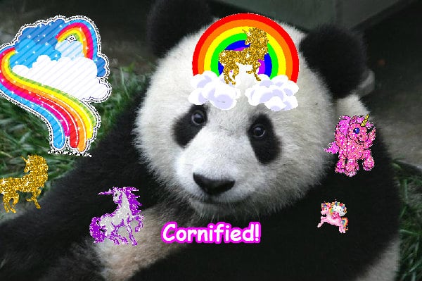 Crazy sunny cute joyful merry hug