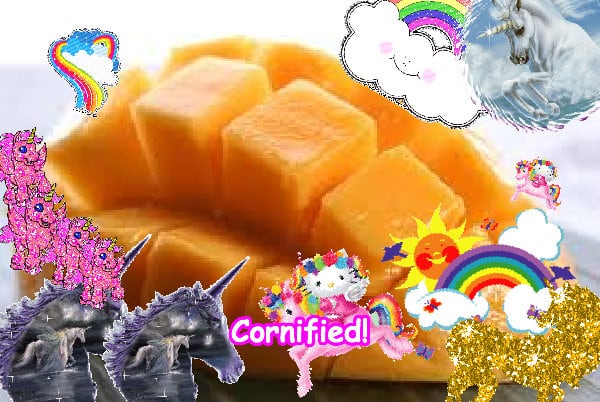 The best sunny great lovely awesome image