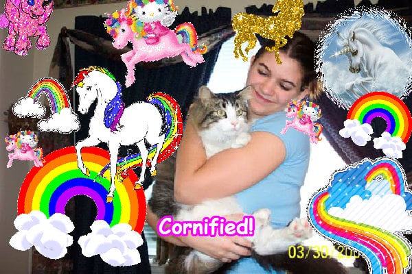 The glad jolly amazing awesome unicorn