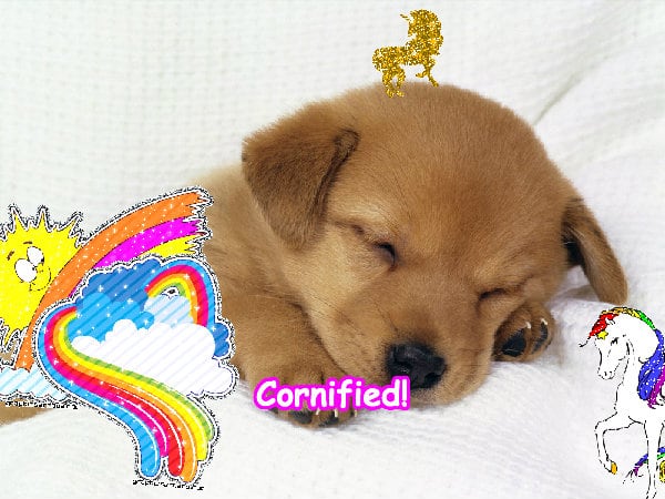 The best cute super happy divine composition