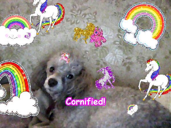 Mindblowingly joyful joyful best awesome sparkle