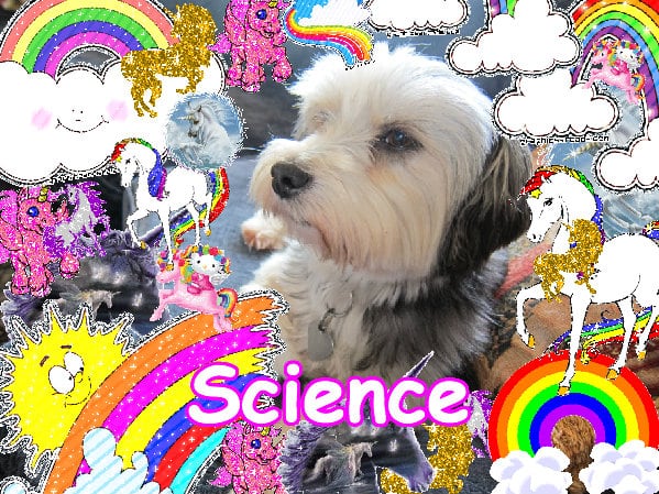 The most amazing sunny happy jolly sunshine